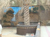 Enlarge photo 26