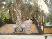 Enlarge photo 27