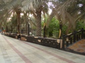 Enlarge photo 28