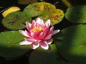Enlarge photo 10