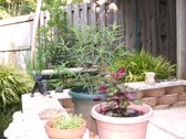 Enlarge photo 13