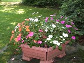 Enlarge photo 21