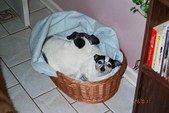 Enlarge photo 10