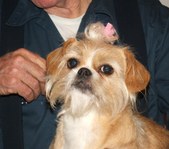 Enlarge photo 24
