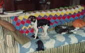 Enlarge photo 18