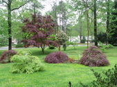 Our Yard 2018