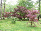 Enlarge photo 3