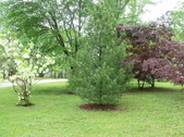 Enlarge photo 7