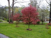 Enlarge photo 3