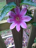 Enlarge photo 7