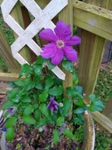 Enlarge photo 21