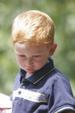 Enlarge photo 46