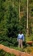 Enlarge photo 50
