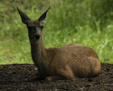 Enlarge photo 24