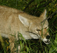 Enlarge photo 29