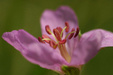 Enlarge photo 37