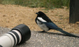 Enlarge photo 38