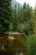 Enlarge photo 39