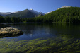 Enlarge photo 40
