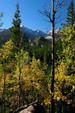 Enlarge photo 41