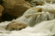 Enlarge photo 44