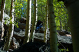 Enlarge photo 46