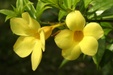 Enlarge photo 38