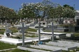 Enlarge photo 59