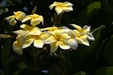 Enlarge photo 58