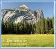 Enlarge photo 35