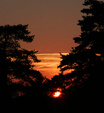 Enlarge photo 38