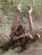Enlarge photo 43