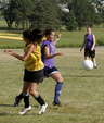 Enlarge photo 46