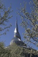 Enlarge photo 64