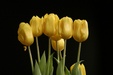 Enlarge photo 54