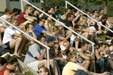Enlarge photo 40