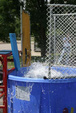 Enlarge photo 41