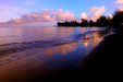Enlarge photo 51