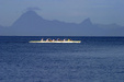 Enlarge photo 54