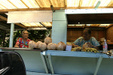 Enlarge photo 58