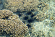 Enlarge photo 60