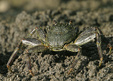 Enlarge photo 26