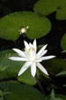 Enlarge photo 35