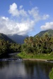 Enlarge photo 35