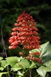 Enlarge photo 43