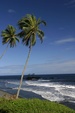 Enlarge photo 33