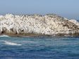 Enlarge photo 47