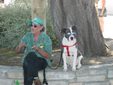 Enlarge photo 61