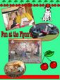 Enlarge photo 7