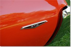Enlarge photo 81